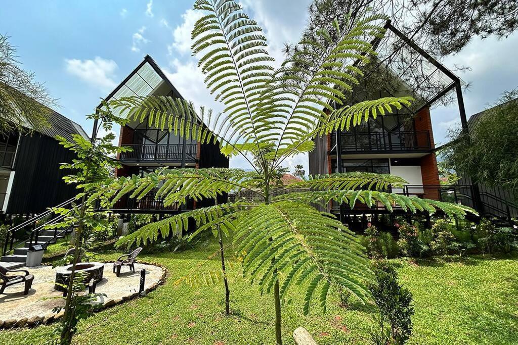 Bango Loft-2 Puncak